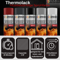 Ofenlack Ofenfarbe hitzebeständige Thermofarbe 800°C versch. Farben 400 ml