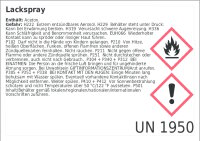 LACKSPRAY nach RAL 400ml